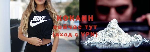прущая мука Няндома