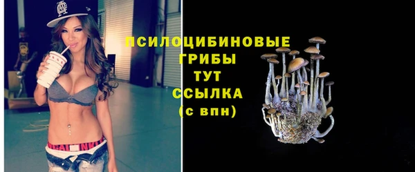 ALPHA PVP Новодвинск