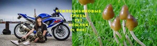 ALPHA PVP Новодвинск