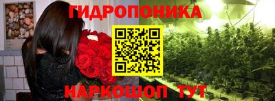 мдма Гай