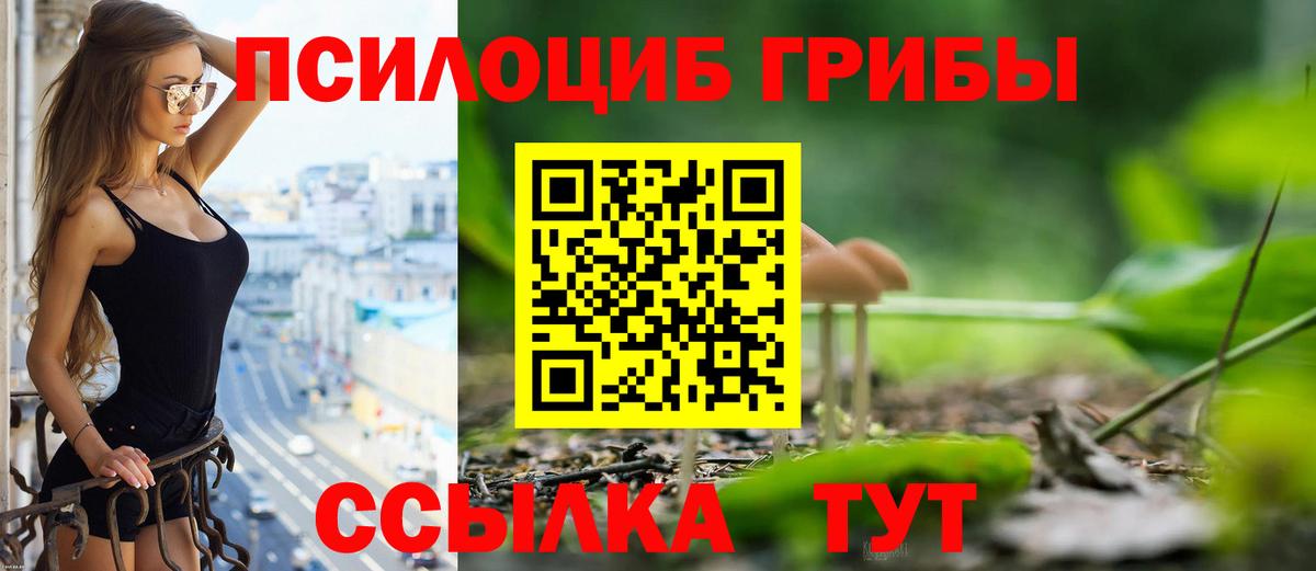 Галлюциногенные грибы Psilocybine cubensis Карталы