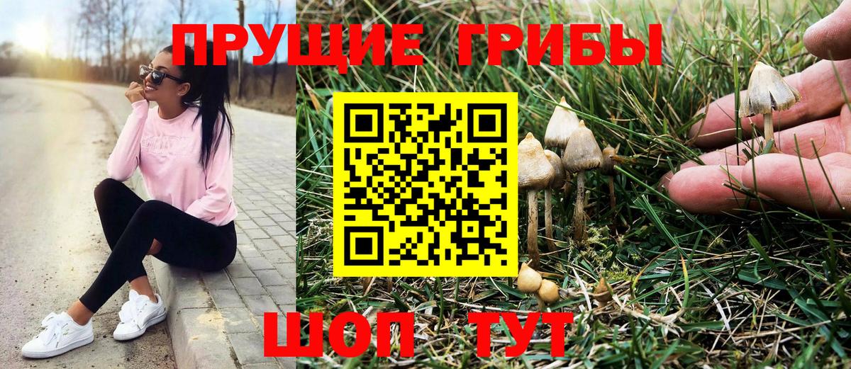 Карталы  Псилоцибиновые грибы Magic Shrooms  Вход с VPN 